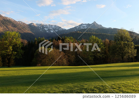 Tranquil Alpine View of Rinnkogel in the Salzkammergut Mountains, Austria Tranquil Alpine View of Rinnkogel in the Salzkammergut Mountains, Austria 125686089