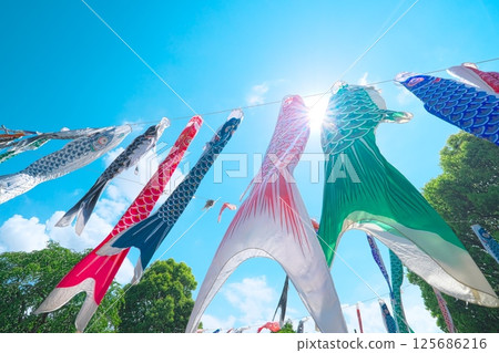 Carp streamers flying in the clear May sky 125686216