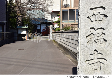 Mishima City: The approach to Saifukuji Temple and its hall 125686226