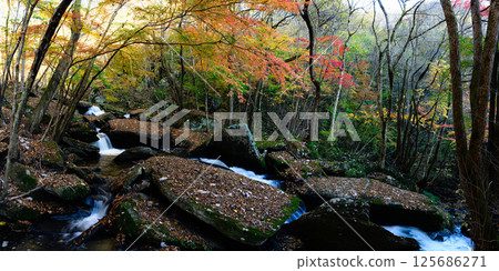 瀧川溪谷與紅葉森林 秋日風景 125686271