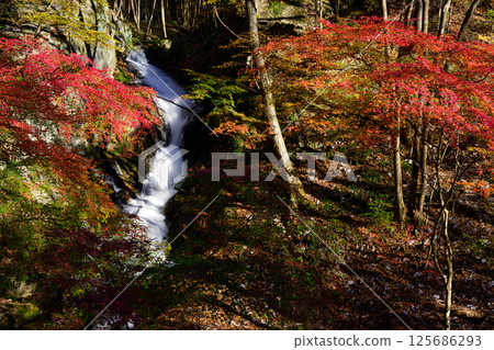 瀧川溪谷之秋:銫子之口瀑布 瀧川溪谷之秋:銫子之口瀑布 125686293