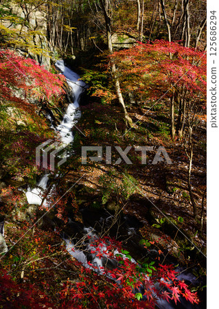 瀧川溪谷之秋：銫子之口瀑布 125686294