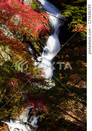 Autumn in Takikawa Valley: Choshi no Kuchi Falls 125686295