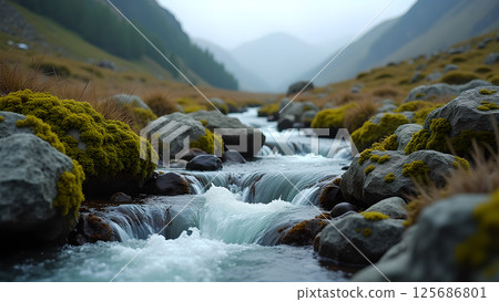 Mountain stream flows peacefully through a rocky landscape adorned with moss 125686801