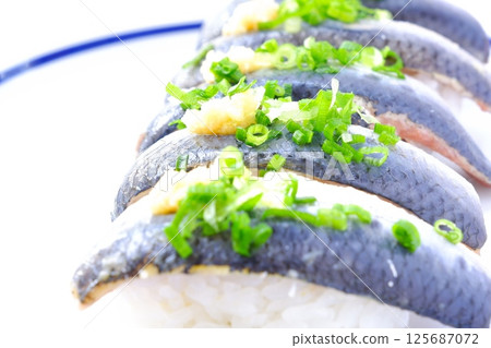 非常新鮮的沙丁魚握壽司 125687072
