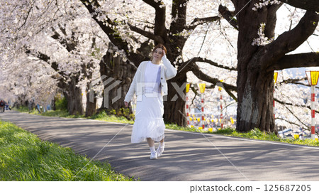 woman visit visit the cherry blossom in hitome senbonzakura in sendai, Japan woman visit visit the cherry blossom in hitome senbonzakura in sendai, Japan 125687205