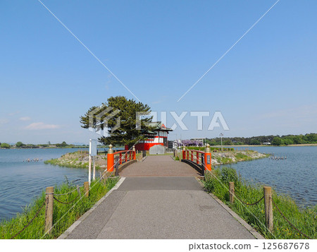多多良沼公園:浮島弁財天 多多良沼公園:浮島弁財天 125687678