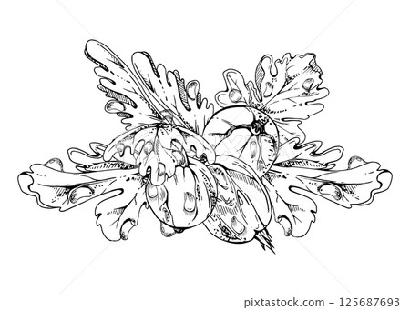 Gooseberry leaves berries in water dew drops, ripe garden Currant huckleberry casseille jostaberry hand drawn in vector ink. Isolated botanical illustration. For restaurant, cafe menu, farmers market Gooseberry leaves berries in water dew drops, ripe garden Currant huckleberry casseille jostaberry hand drawn in vector ink. Isolated botanical illustration. For restaurant, cafe menu, farmers market 125687693