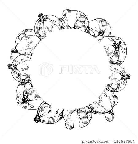 Currant gooseberry closeup in water dew drops, ripe garden berry huckleberry juneberry casseille jostaberry hand drawn in vector ink. Isolated wreath frame. Organic food drink, fresh eco grocery store Currant gooseberry closeup in water dew drops, ripe garden berry huckleberry juneberry casseille jostaberry hand drawn in vector ink. Isolated wreath frame. Organic food drink, fresh eco grocery store 125687694