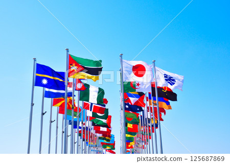 The national flag The national flag 125687869