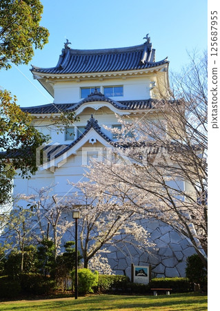 藍天映襯下的關宿城櫻花樹和天守閣 125687955
