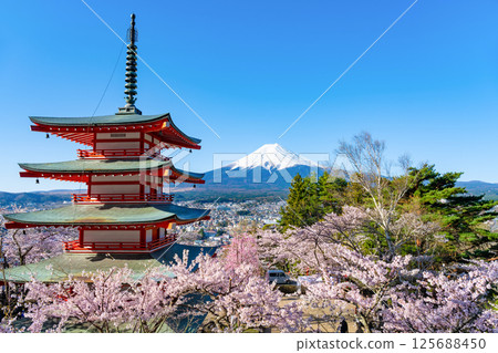 山梨縣富士吉田市新倉山淺間公園的春天：富士山、五重塔和櫻花 125688450