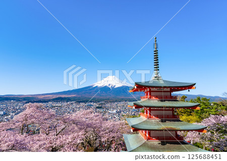 Spring in Arakurayama Sengen Park, Fujiyoshida City, Yamanashi Prefecture: Mt. Fuji, five-story pagoda and cherry blossoms Spring in Arakurayama Sengen Park, Fujiyoshida City, Yamanashi Prefecture: Mt. Fuji, five-story pagoda and cherry blossoms 125688451