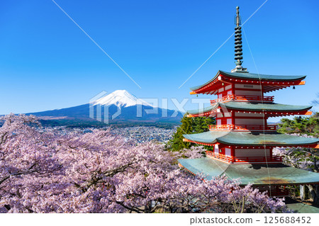 Spring in Arakurayama Sengen Park, Fujiyoshida City, Yamanashi Prefecture: Mt. Fuji, five-story pagoda and cherry blossoms 125688452
