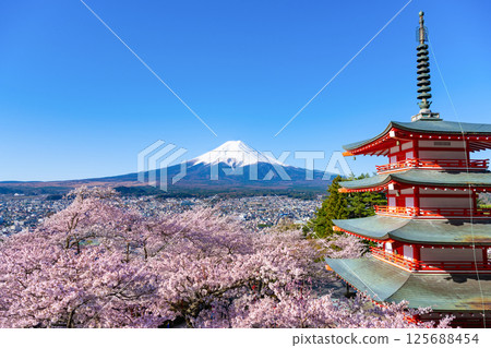 Spring in Arakurayama Sengen Park, Fujiyoshida City, Yamanashi Prefecture: Mt. Fuji, five-story pagoda and cherry blossoms 125688454