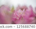 Harariyaen 125688740