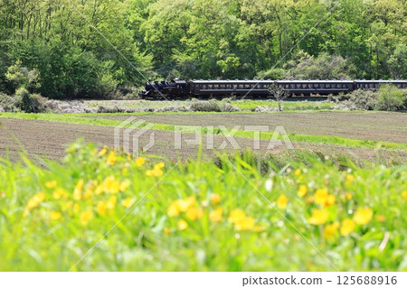 真岡鐵道“四月下旬行駛在鄉間的SL真岡列車” 125688916