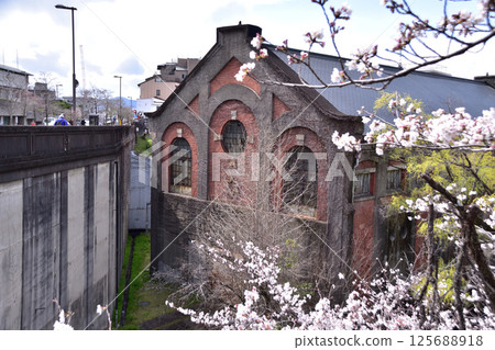 京都、蹴上、蹴上發電站二期及櫻花 125688918