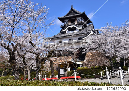日本愛知縣犬山市：春天櫻花盛開的犬山城、日本最古老的國寶天守閣和美麗的藍天 125689090