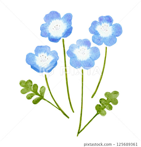 Gentle watercolor nemophila frame illustration 125689361