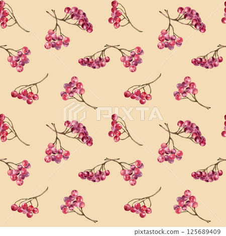 Botanical seamless pattern with guelder rose berries clusters and delicate twigs isolated beige. Red berries watercolor on repeated texture for cottagecore textile, stationery, wrapping paper. Botanical seamless pattern with guelder rose berries clusters and delicate twigs isolated beige. Red berries watercolor on repeated texture for cottagecore textile, stationery, wrapping paper. 125689409