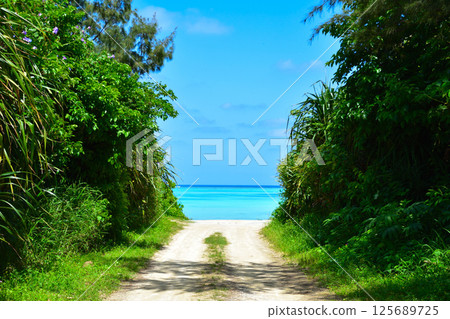 Amami Islands Yoron Island Amami Islands Yoron Island 125689725