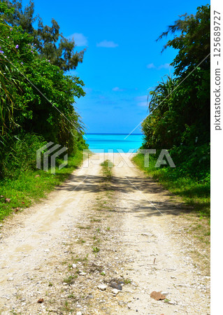 Amami Islands Yoron Island Amami Islands Yoron Island 125689727