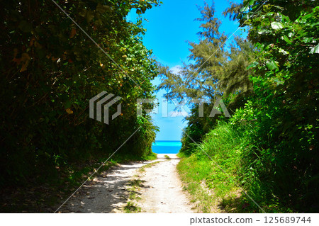 Amami Islands Yoron Island Amami Islands Yoron Island 125689744