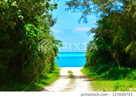 Amami Islands Yoron Island Amami Islands Yoron Island 125689781