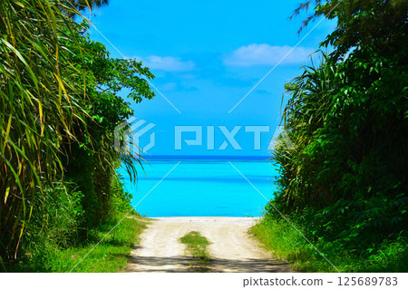 奄美群島 與論島 125689783