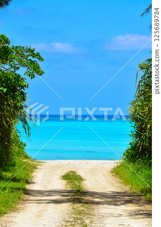 Amami Islands Yoron Island Amami Islands Yoron Island 125689784