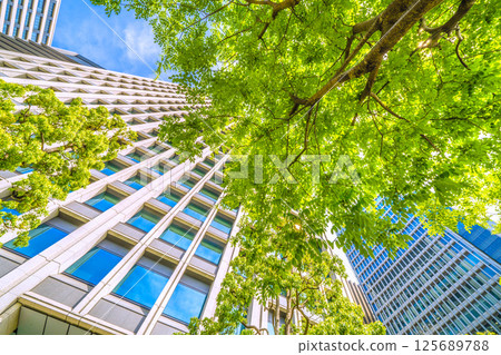 日本東京城市景觀。槐樹的景色(上圖)...東京大手町。這座紀念碑旁邊有一棵日本槐樹,標誌著這座城市的第一排樹。 日本東京城市景觀。槐樹的景色(上圖)...東京大手町。這座紀念碑旁邊有一棵日本槐樹,標誌著這座城市的第一排樹。 125689788