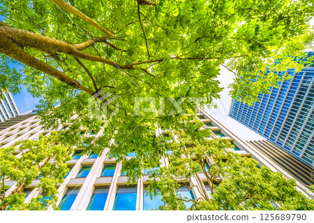 日本東京城市景觀。槐樹的景色(上圖)...東京大手町。這座紀念碑旁邊有一棵日本槐樹,標誌著這座城市的第一排樹。 日本東京城市景觀。槐樹的景色(上圖)...東京大手町。這座紀念碑旁邊有一棵日本槐樹,標誌著這座城市的第一排樹。 125689790