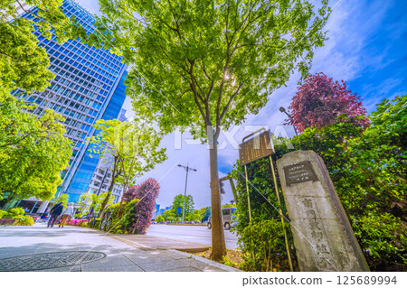 Tokyo cityscape in Japan. Otemachi, Tokyo. Monument to "the city's first tree-lined street." Next to it is a Chinese pagoda tree (May 1st) 125689994