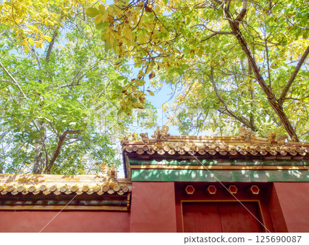 藍天白雲下的北京古建築 藍天白雲下的北京古建築 125690087