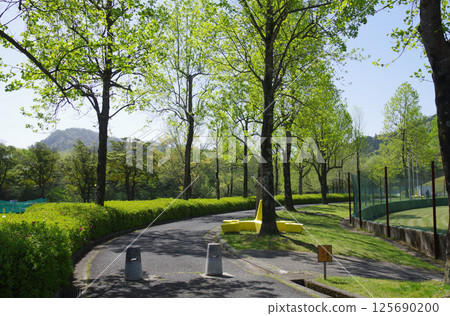可部運動公園的新鮮綠意 125690200