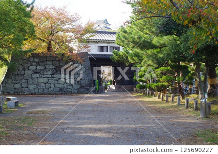 Autumn scenery at Wakayama Castle Okaguchi Gate 125690227