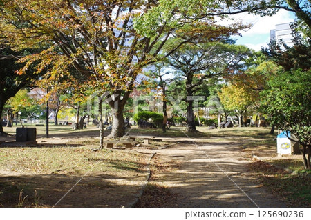 Autumn scenery at Wakayama Castle Park 125690236