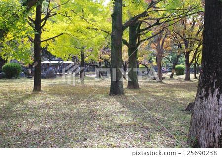 和歌山城公園秋景 和歌山城公園秋景 125690238