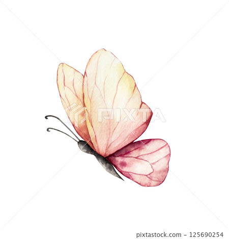 Beautiful colorful butterfly. Watercolor hand drawn insect clipart isolated on background, transparent png. Botanical and wedding illustration. Baby shower design elements. Party invitation, birthday 125690254