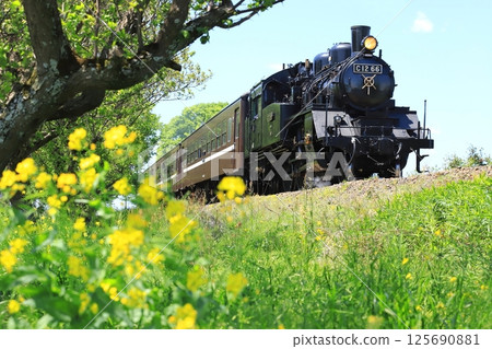 Mooka Railway "The SL Mooka train runs through the scenery along the line during the season of fresh greenery" Mooka Railway "The SL Mooka train runs through the scenery along the line during the season of fresh greenery" 125690881