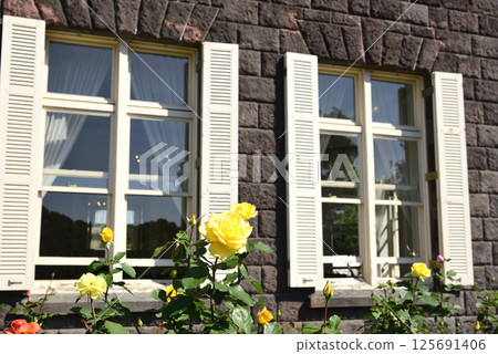 東京舊古川花園和玫瑰瑰 東京舊古川花園和玫瑰瑰 125691406