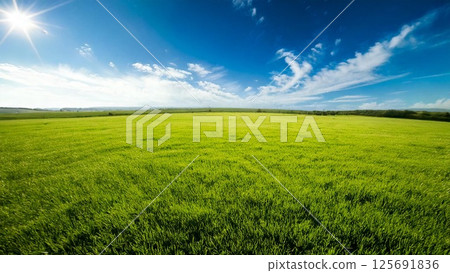 Vast blue sky and grassland Background material Flyer, banner, video material AI-generated material 125691836