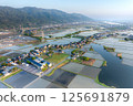 Aerial view of houses flowing among rice fields 125691879