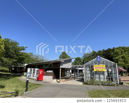 埼玉縣南埼玉郡宮代町新村森之市場 埼玉縣南埼玉郡宮代町新村森之市場 125691913