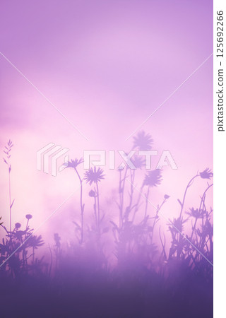 Silhouettes of summer wildflowers on pastel background with airy composition. Ideal for overlays, design and beauty themes 125692266