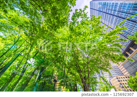 日本東京城市景觀，俯瞰大手町森林和其他地區 125692307