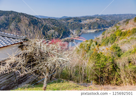 Plum forest Plum forest 125692501