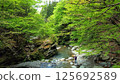 A hidden bridge surrounded by fresh greenery 125692589
