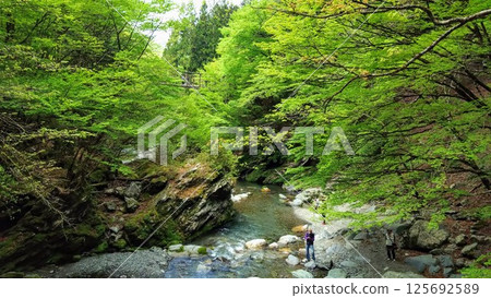 A hidden bridge surrounded by fresh greenery A hidden bridge surrounded by fresh greenery 125692589